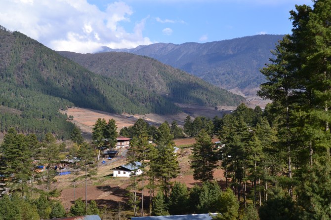 1D524F1E-C703-4BE9-B7C4-103881FC3971