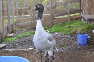 8A468F95-CE3A-4CCE-902A-48DBE2FDE3D8